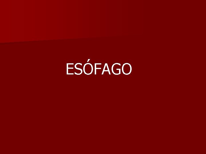 ESÓFAGO 