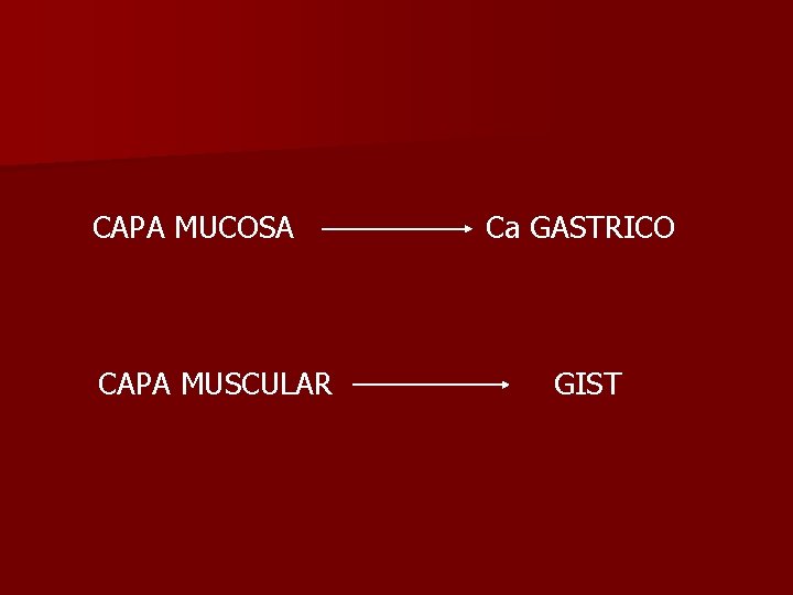 CAPA MUCOSA CAPA MUSCULAR Ca GASTRICO GIST 