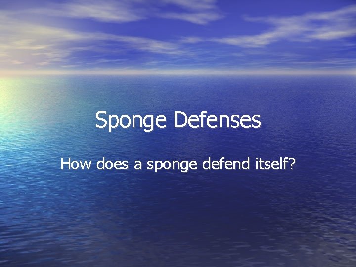 Sponge Defenses How does a sponge defend itself? 