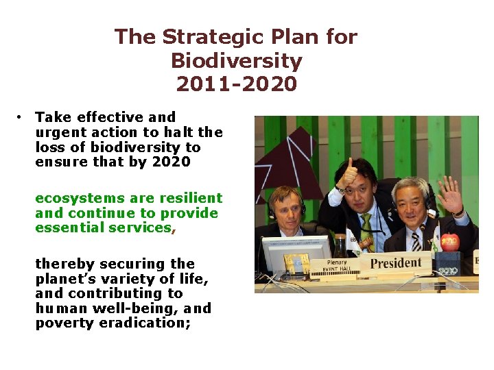 The Strategic Plan for Biodiversity 2011 -2020 • Take effective and urgent action to The Strategic Plan for Biodiversity 2011 -2020 • Take effective and urgent action to