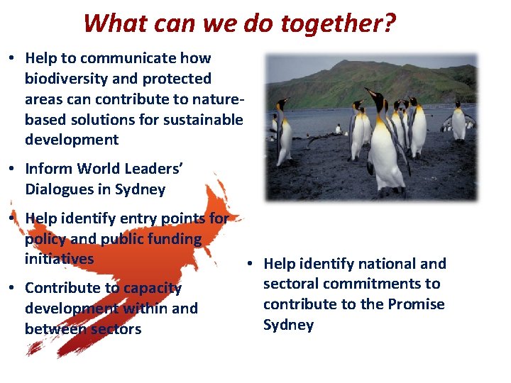 What can we do together? • Help to communicate how biodiversity and protected areas What can we do together? • Help to communicate how biodiversity and protected areas