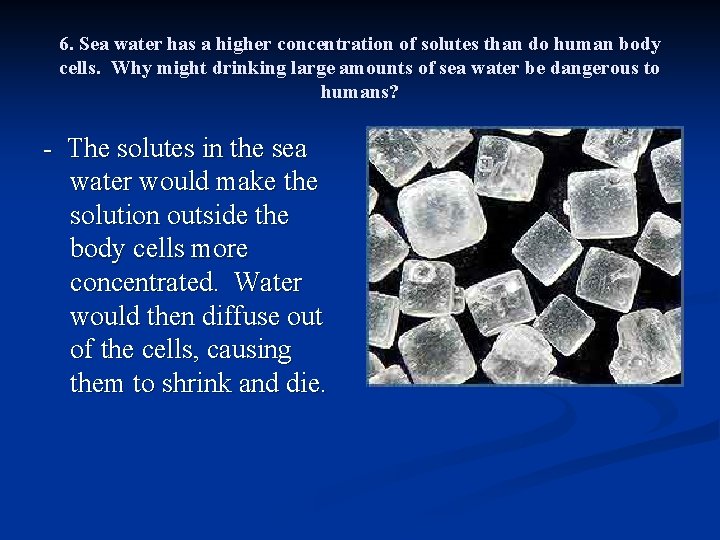 6. Sea water has a higher concentration of solutes than do human body cells.