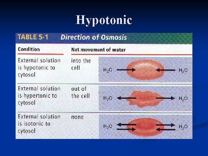 Hypotonic 