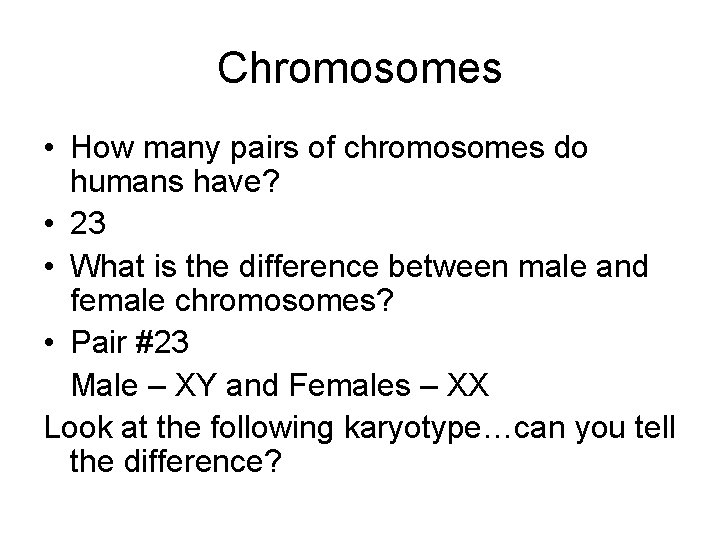 Chromosomes • How many pairs of chromosomes do humans have? • 23 • What