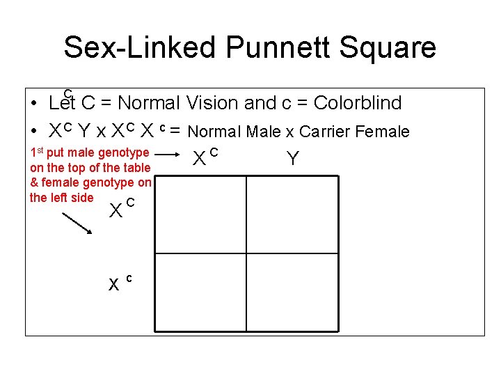Sex-Linked Punnett Square C • Let C = Normal Vision and c = Colorblind