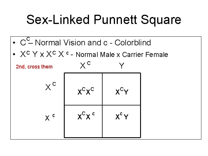 Sex-Linked Punnett Square C • C – Normal Vision and c - Colorblind •