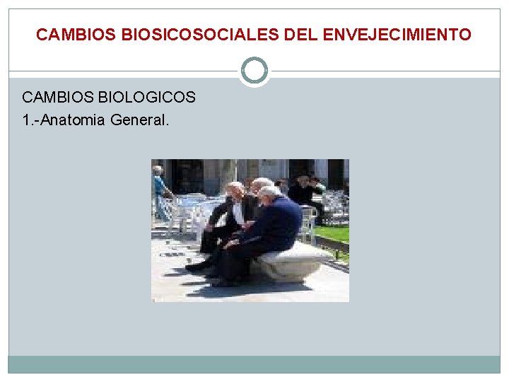 CAMBIOSICOSOCIALES DEL ENVEJECIMIENTO CAMBIOS BIOLOGICOS 1. -Anatomia General. 