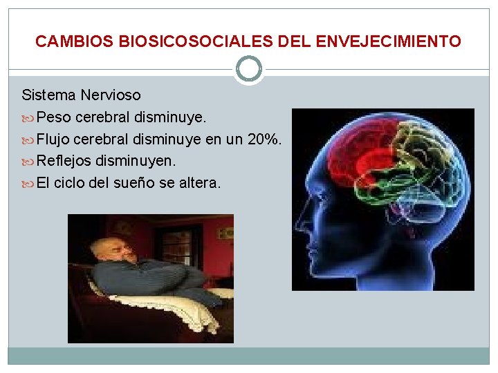 CAMBIOSICOSOCIALES DEL ENVEJECIMIENTO Sistema Nervioso Peso cerebral disminuye. Flujo cerebral disminuye en un 20%.