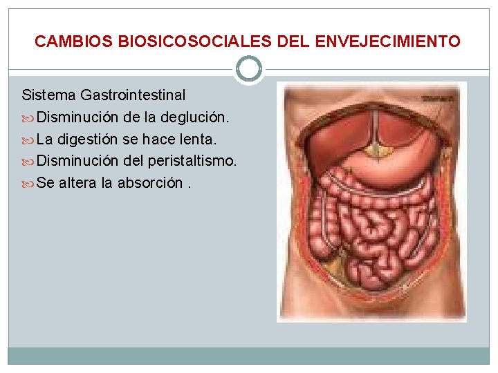 CAMBIOSICOSOCIALES DEL ENVEJECIMIENTO Sistema Gastrointestinal Disminución de la deglución. La digestión se hace lenta.