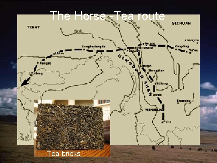 The Horse -Tea route Tea bricks 