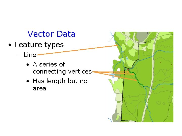 Vector Data • Feature types – Line • A series of connecting vertices • Vector Data • Feature types – Line • A series of connecting vertices •