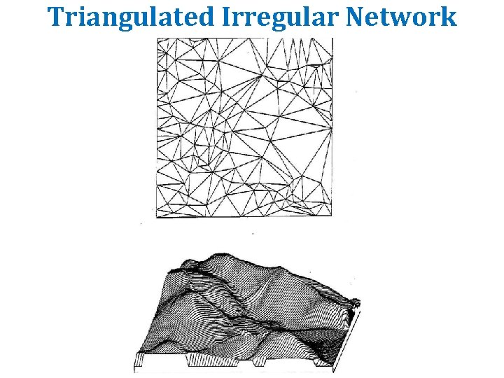 Triangulated Irregular Network Triangulated Irregular Network