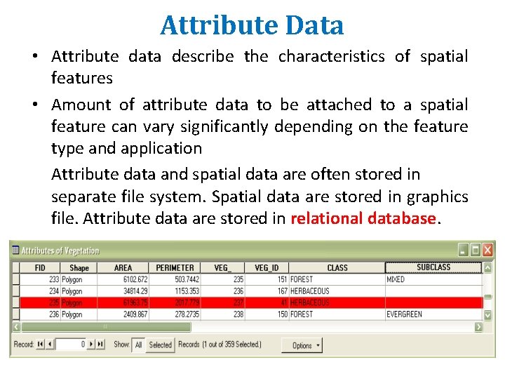 Attribute Data • Attribute data describe the characteristics of spatial features • Amount of Attribute Data • Attribute data describe the characteristics of spatial features • Amount of