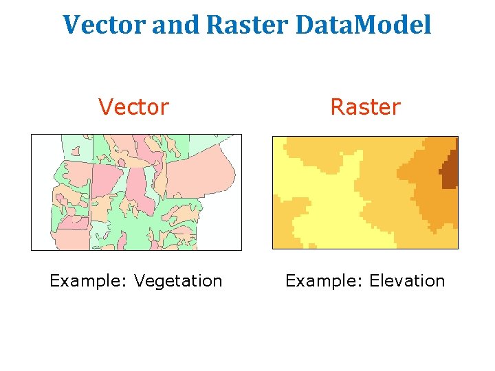 Vector and Raster Data. Model Vector Raster Example: Vegetation Example: Elevation Vector and Raster Data. Model Vector Raster Example: Vegetation Example: Elevation