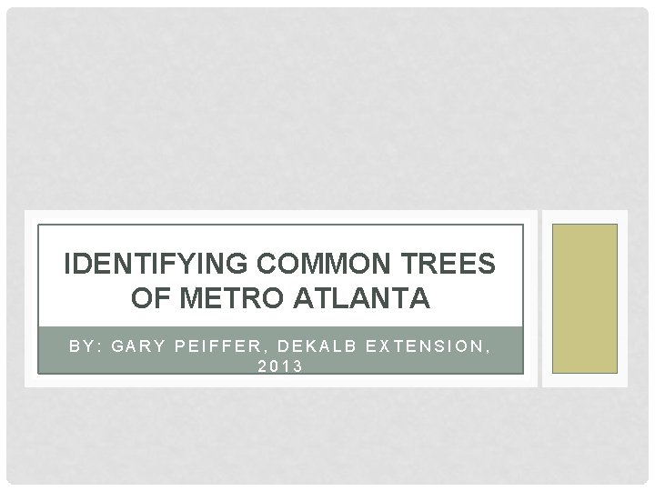 IDENTIFYING COMMON TREES OF METRO ATLANTA BY: GARY PEIFFER, DEKALB EXTENSION, 2013 