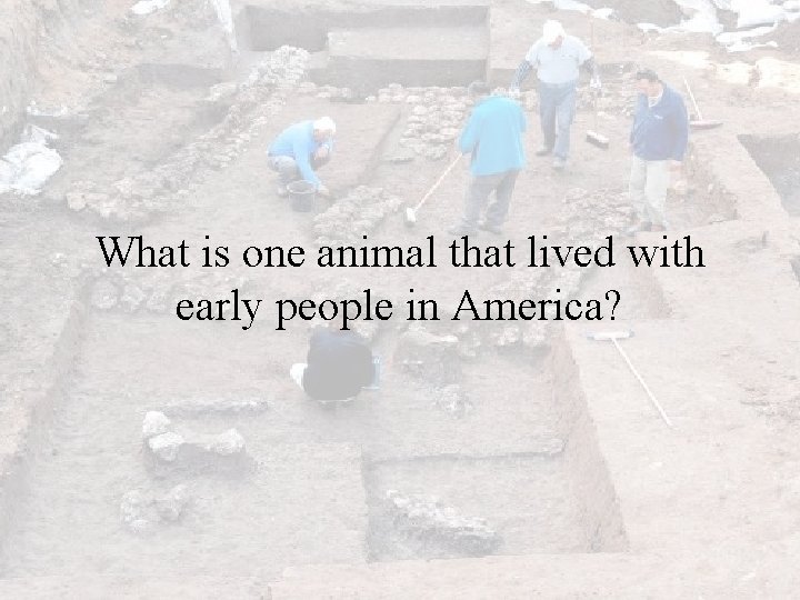 What is one animal that lived with early people in America? 