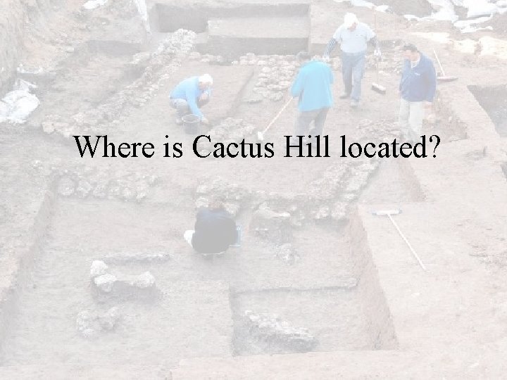 Where is Cactus Hill located? 