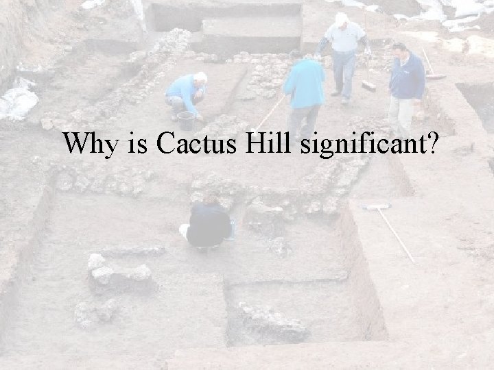 Why is Cactus Hill significant? 