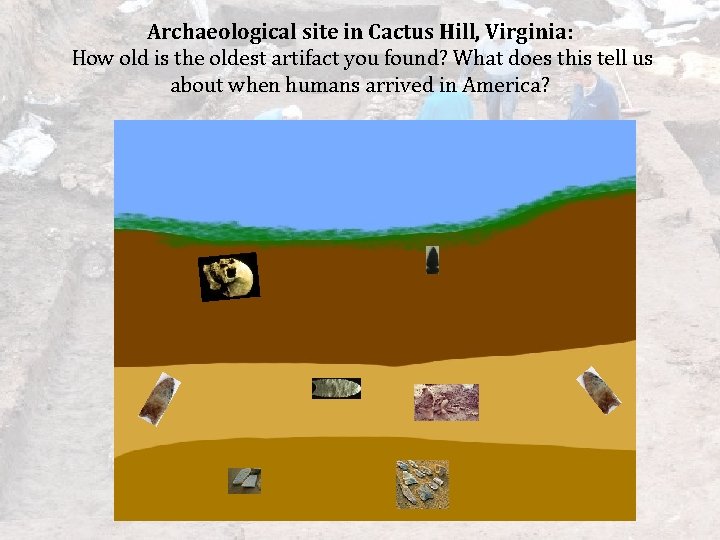 Archaeological site in Cactus Hill, Virginia: How old is the oldest artifact you found?