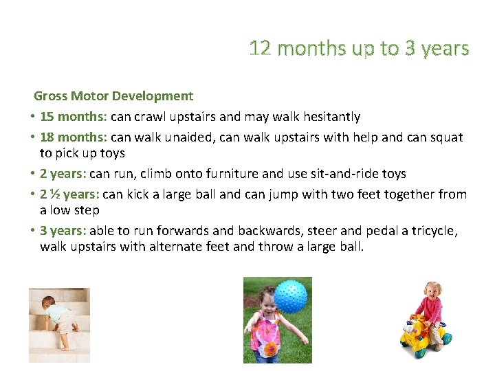 12 months up to 3 years Gross Motor Development • 15 months: can crawl