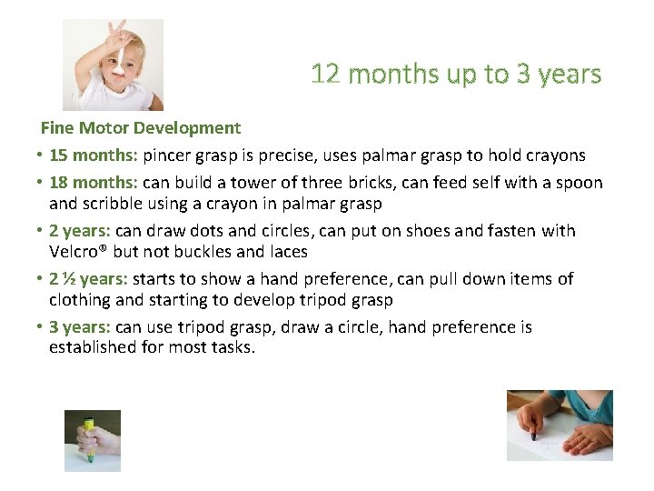 12 months up to 3 years Fine Motor Development • 15 months: pincer grasp