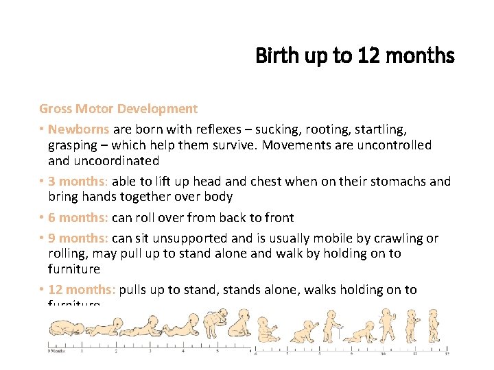 Birth up to 12 months Gross Motor Development • Newborns are born with reflexes
