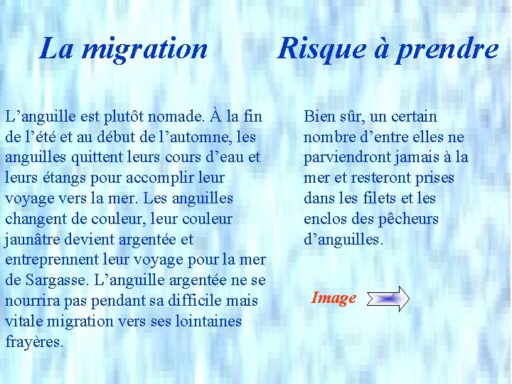 La migration L’anguille est plutôt nomade. À la fin de l’été et au début