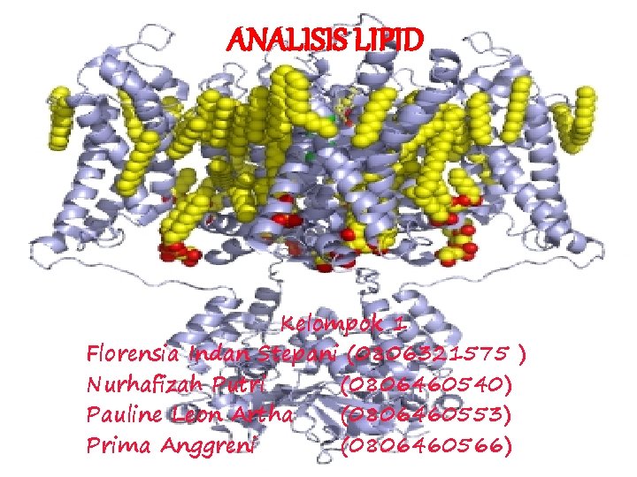 ANALISIS LIPID Kelompok 1 Florensia Indan Stepani (0806321575 ) Nurhafizah Putri (0806460540) Pauline Leon