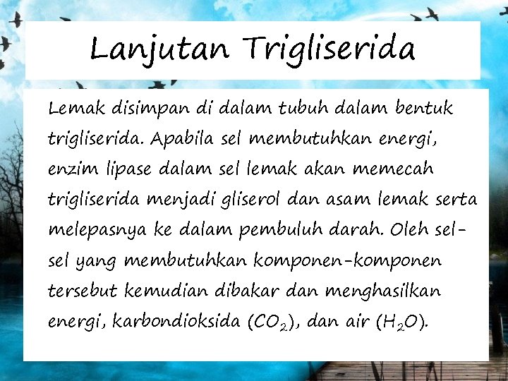 Lanjutan Trigliserida Lemak disimpan di dalam tubuh dalam bentuk trigliserida. Apabila sel membutuhkan energi,