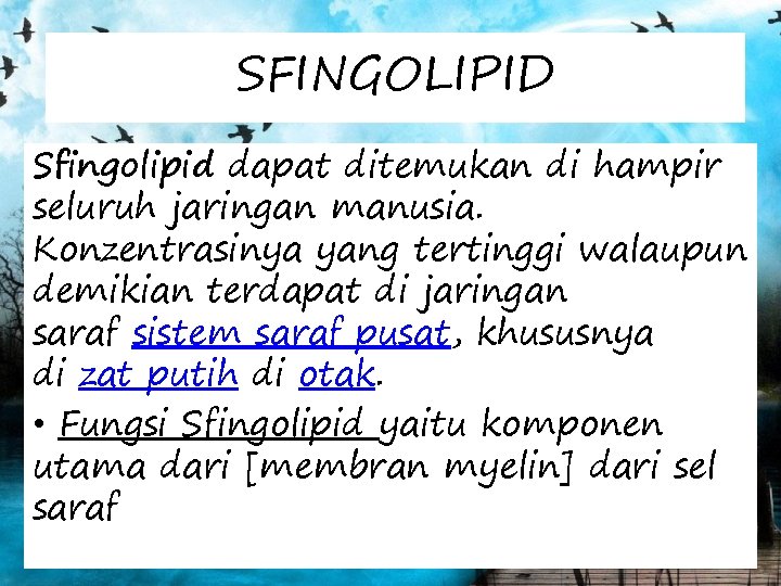 SFINGOLIPID Sfingolipid dapat ditemukan di hampir seluruh jaringan manusia. Konzentrasinya yang tertinggi walaupun demikian