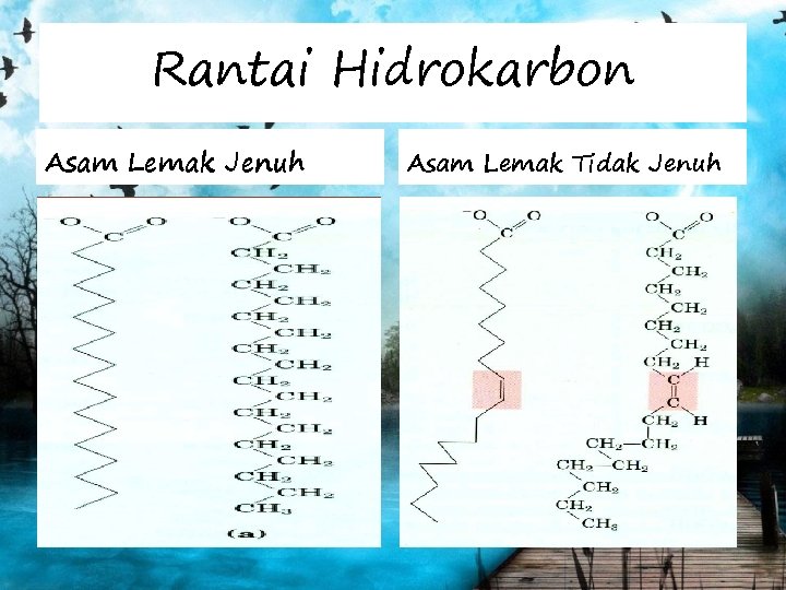 Rantai Hidrokarbon Asam Lemak Jenuh Asam Lemak Tidak Jenuh 