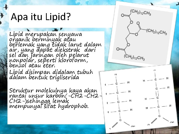 Apa itu Lipid? Lipid merupakan senyawa organik berminyak atau berlemak yang tidak larut dalam