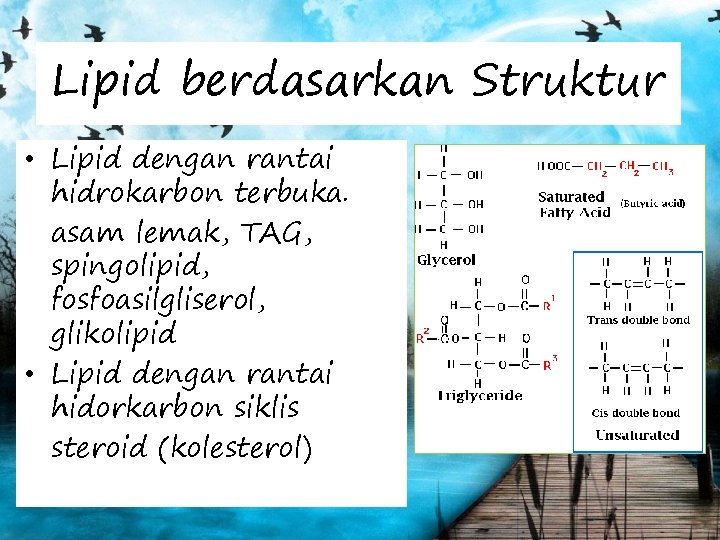 Lipid berdasarkan Struktur • Lipid dengan rantai hidrokarbon terbuka. asam lemak, TAG, spingolipid, fosfoasilgliserol,