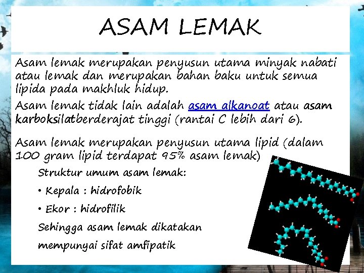 ASAM LEMAK Asam lemak merupakan penyusun utama minyak nabati atau lemak dan merupakan bahan