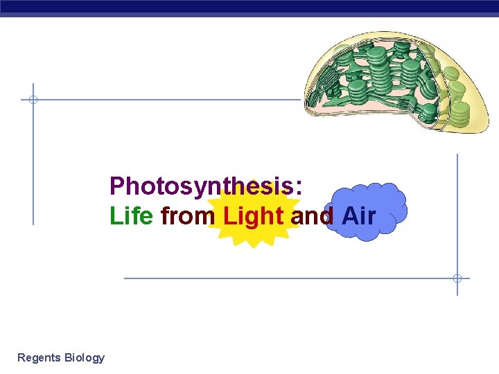 Photosynthesis: Life from Light and Air Regents Biology 