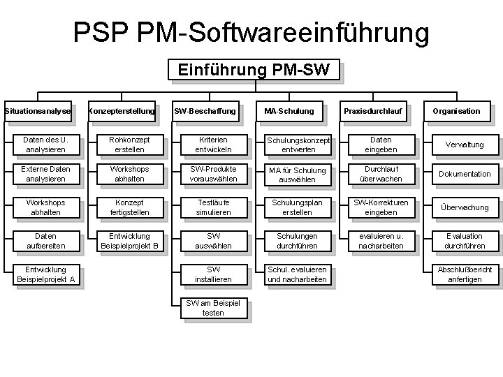 PSP PM-Softwareeinführung Einführung PM-SW Situationsanalyse Konzepterstellung SW-Beschaffung MA-Schulung Praxisdurchlauf Organisation Daten des U. analysieren