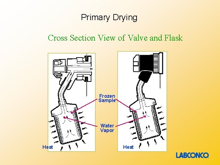 Primary Drying Cross Section View of Valve and Flask Frozen Sample Water Vapor Heat