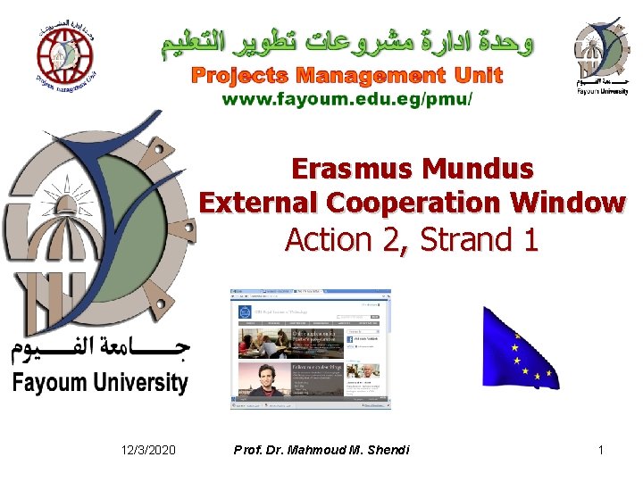 Erasmus Mundus External Cooperation Window Action 2, Strand 1 12/3/2020 Prof. Dr. Mahmoud M.