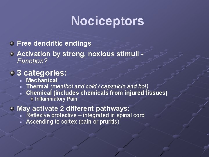 Nociceptors Free dendritic endings Activation by strong, noxious stimuli Function? 3 categories: n n