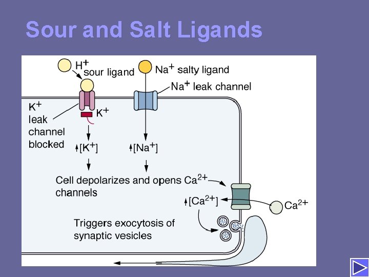Sour and Salt Ligands 