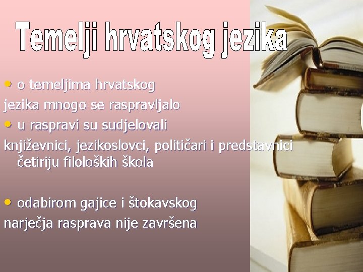  • o temeljima hrvatskog jezika mnogo se raspravljalo • u raspravi su sudjelovali