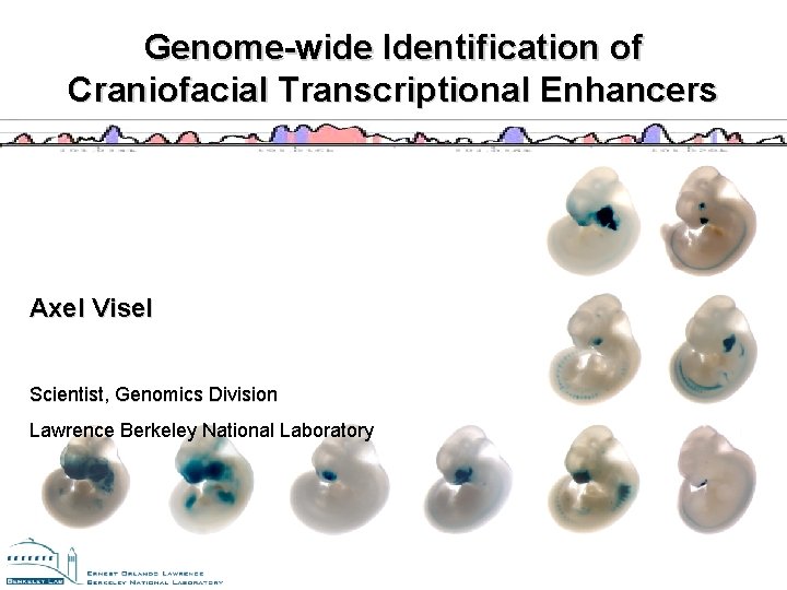 Genome-wide Identification of Craniofacial Transcriptional Enhancers Axel Visel Scientist, Genomics Division Lawrence Berkeley National Genome-wide Identification of Craniofacial Transcriptional Enhancers Axel Visel Scientist, Genomics Division Lawrence Berkeley National
