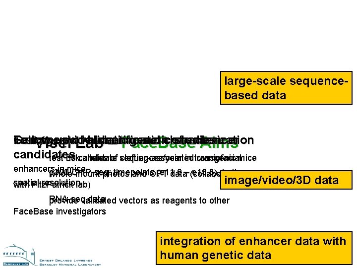 large-scale sequencebased data Transgenic Genome-wide validation identification and characterization of enhancer Follow-up human genetic large-scale sequencebased data Transgenic Genome-wide validation identification and characterization of enhancer Follow-up human genetic
