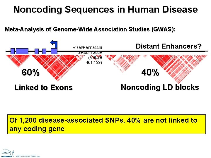 Noncoding Sequences in Human Disease Meta-Analysis of Genome-Wide Association Studies (GWAS): Visel/Pennacchi o/Rubin 2009 Noncoding Sequences in Human Disease Meta-Analysis of Genome-Wide Association Studies (GWAS): Visel/Pennacchi o/Rubin 2009