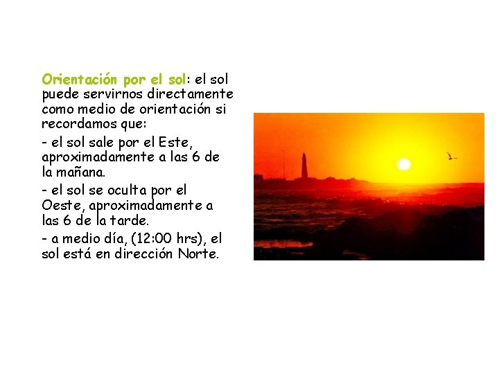 Orientación por el sol: el sol puede servirnos directamente como medio de orientación si