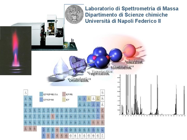Laboratorio di Spettrometria di Massa Dipartimento di Scienze chimiche Università di Napoli Federico II
