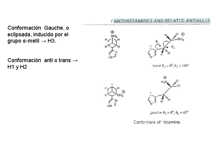 Conformación Gauche, o eclipsada, inducido por el grupo α-metil → H 3. Conformación anti