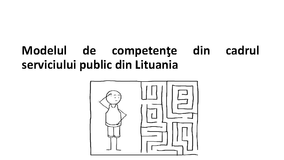 Modelul de competenţe serviciului public din Lituania din cadrul 