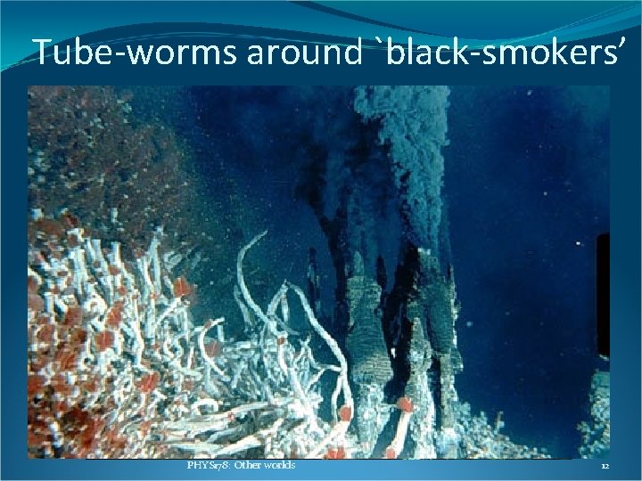 Tube-worms around `black-smokers’ PHYS 178: Other worlds 12 Tube-worms around `black-smokers’ PHYS 178: Other worlds 12