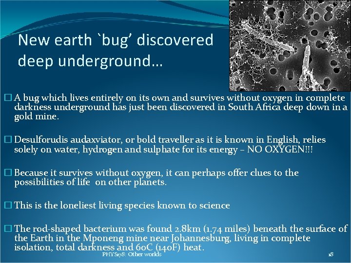 New earth `bug’ discovered deep underground… � A bug which lives entirely on its New earth `bug’ discovered deep underground… � A bug which lives entirely on its